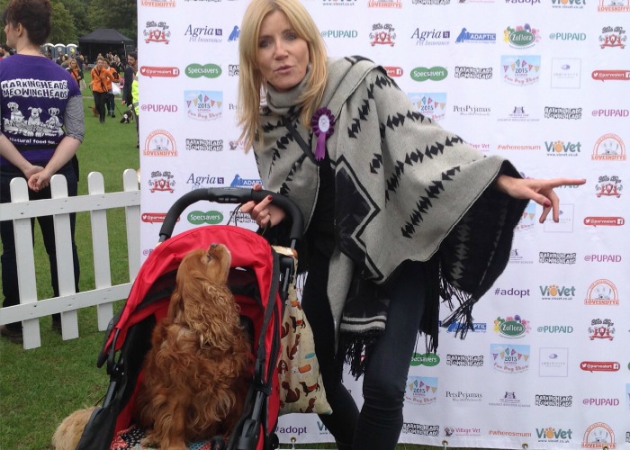 🐾 Pup Aid – Sniffing Out Puppy Farming