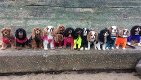 Holidays with 4+ dogs!