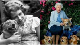 THE QUEEN AND HER CORGIS