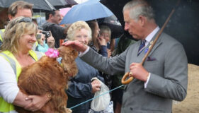 Royalty and the Cavalier King Charles Spaniel