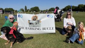 The Hunstanton Fun Dog Show
