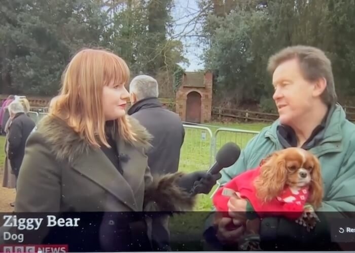 🤴🏻BBC World News - Sandringham Royal Coverage