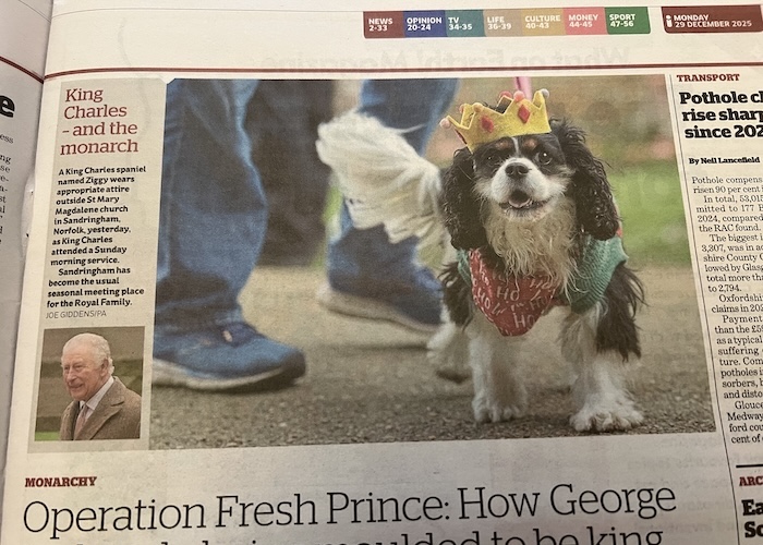 🗞️Making the Headlines