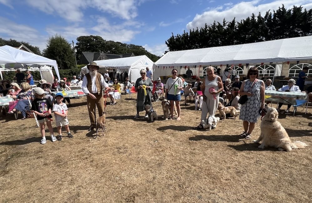 dogs receiving their winning rosettes at a fun dog show