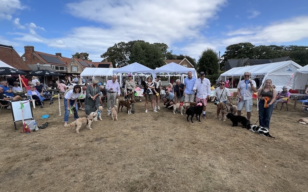 dogs receiving their rosettes at a fun dog show