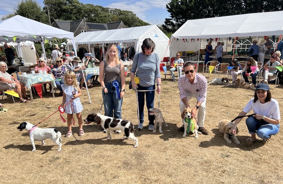 Dogs receiving their rosettes at a fun dog show